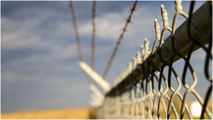 Barbed Wire